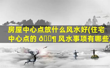 房屋中心点放什么风水好(住宅中心点的 🐶 风水事项有哪些)